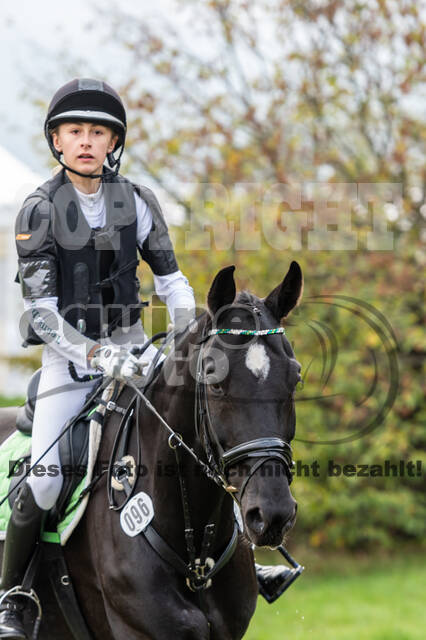 Goldene Schärpe 2020 - Pferde