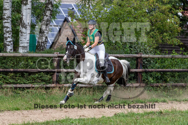 Late-Entry-Vielseitigkeit Gahlen (18.07.2020)