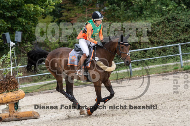 Landesturnier Rheinland, Vielseitigkeit, 22.+23.08.2020