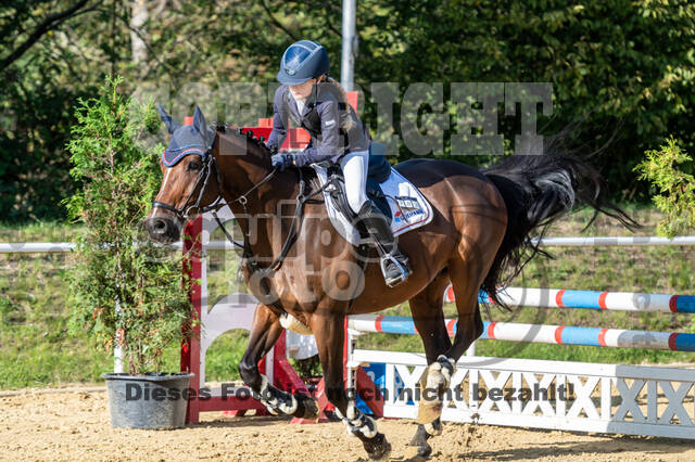 RFV Dinslaken-Hiesfeld (Herbstturnier)