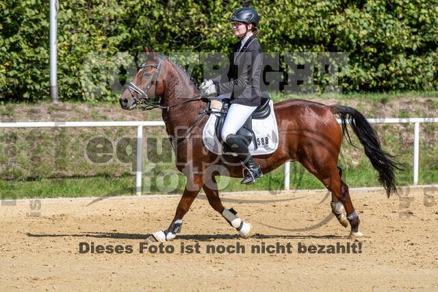 RFV Dinslaken-Hiesfeld (Herbstturnier)