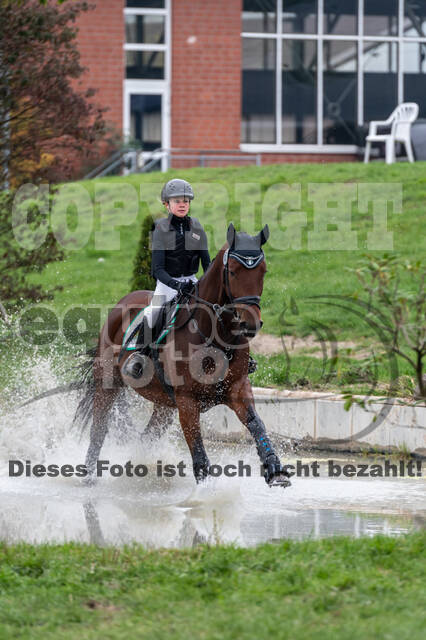 Goldene Schärpe 2020 - Pferde