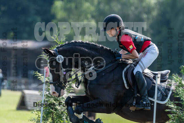 Goldene Schärpe 2021 - Ponys