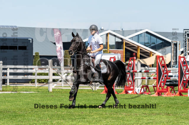 Kronenberg - De Peelbergen (August 2020)