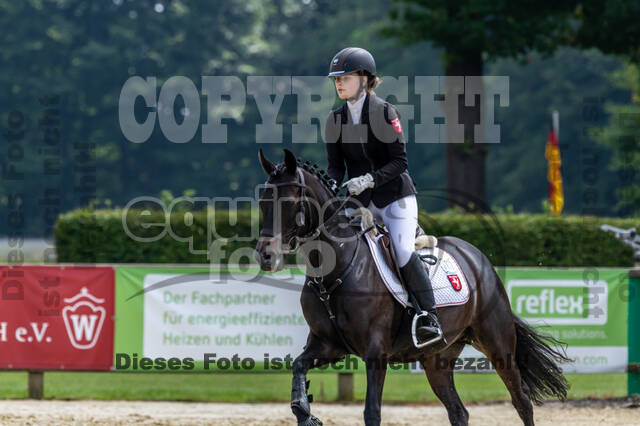 Goldene Schärpe 2021 - Ponys