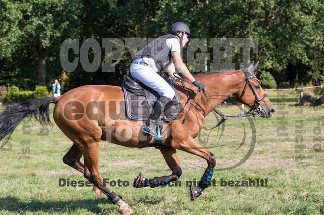 Vielseitigkeitsturnier RSV St. Hubertus Wesel Obrighoven