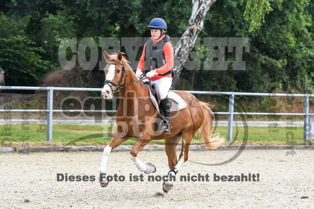 Late-Entry-Vielseitigkeit Langenfeld (11.+13./14.06.2020)