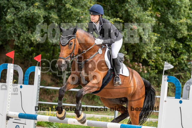 Late-Entry-Vielseitigkeit Langenfeld (06.+07.07.2020)