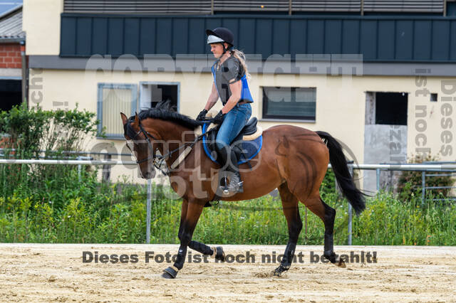 Hunter Geländetraining 10.07.2021 (Sonsbeck)