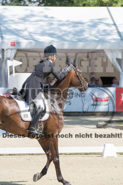 FEI European Championship Eventing 2017
