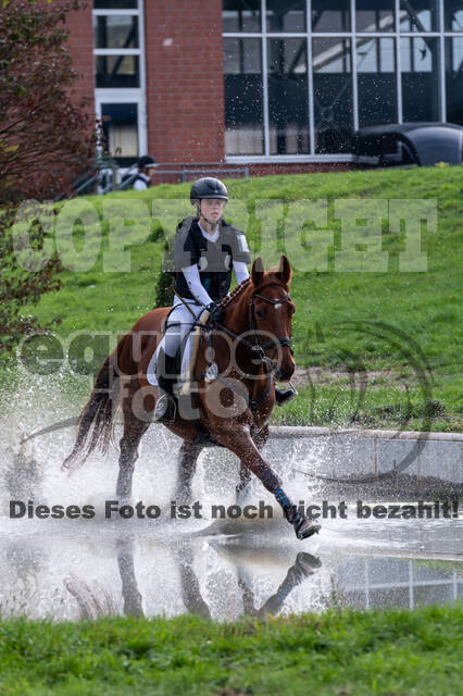 Goldene Schärpe 2020 - Pferde