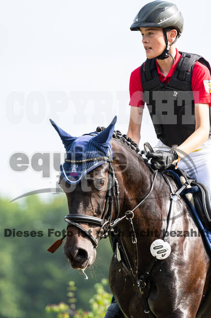 Goldene Schärpe 2021 - Ponys