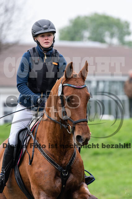 Goldene Schärpe 2020 - Pferde