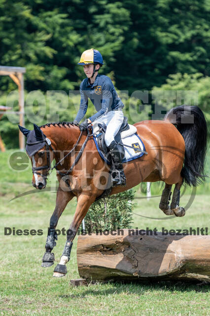 Goldene Schärpe 2021 - Ponys