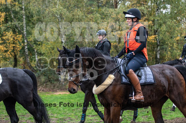 Training Bettina Hoy (01.11.2020)