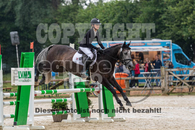 Goldene Schärpe 2021 - Ponys