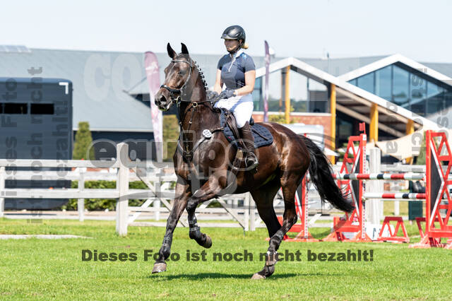 Kronenberg - De Peelbergen (August 2020)