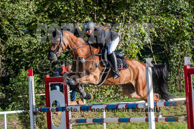 RFV Dinslaken-Hiesfeld (Herbstturnier)
