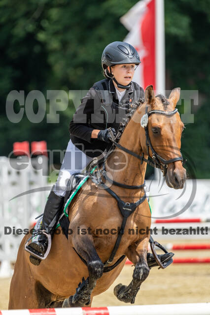 Goldene Schärpe 2021 - Ponys