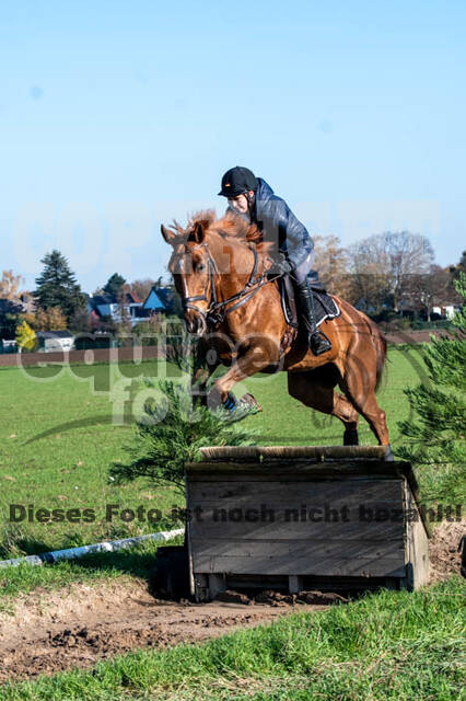 Vielseitigkeitslehrgang mit Jürg Kurbel (9.+10.11.2019)
