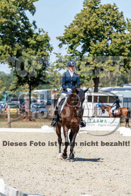 Kronenberg - De Peelbergen (August 2020)