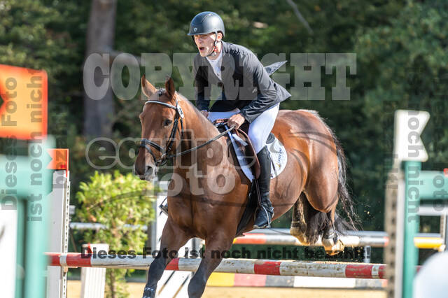 RFV Dinslaken-Hiesfeld (Herbstturnier)