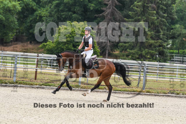 Late-Entry-Vielseitigkeit Langenfeld (11.+13./14.06.2020)