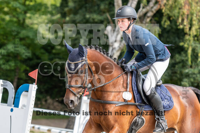 Late-Entry-Vielseitigkeit Langenfeld (06.+07.07.2020)