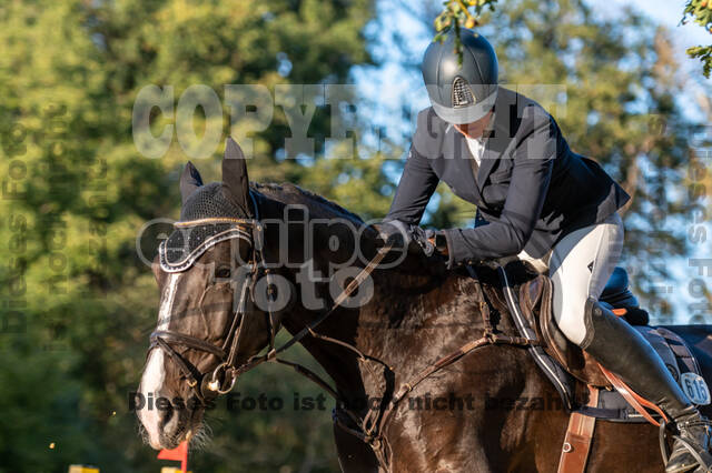 RFV Dinslaken-Hiesfeld (Herbstturnier)