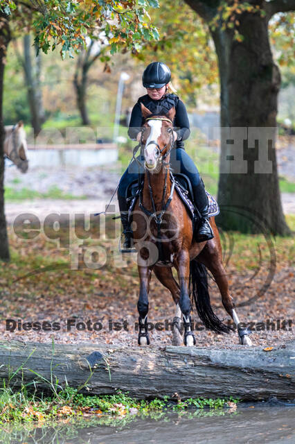 IGV Lehrgang der Sieger der Cups mit Frank Ostholt