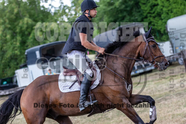Late-Entry Vielseitigkeit Hamminkeln/Wesel (01.+02.08.2020)