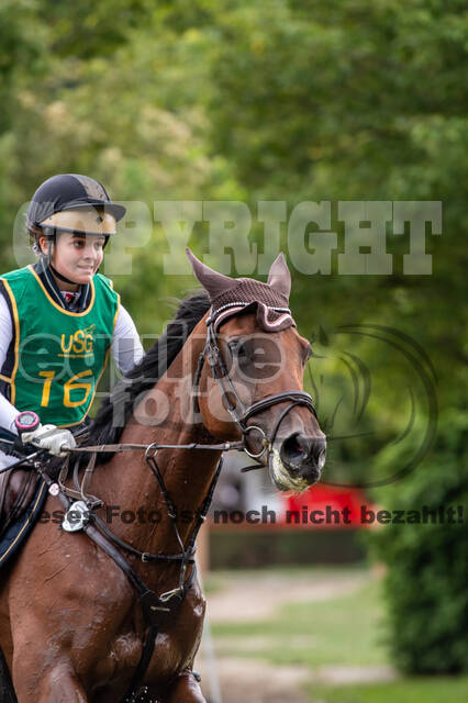 Landesturnier Rheinland, Vielseitigkeit, 22.+23.08.2020