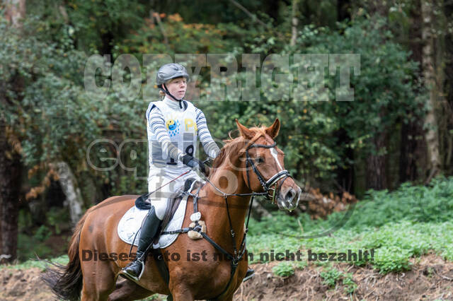 Vielseitigkeit RSV Wesel Obrighoven (26.+27.09.2020)