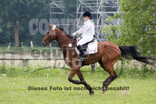 Vielseitigkeitsturnier ZRFV von Lützow Hamminkeln
