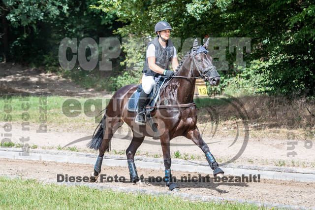 Late-Entry-Vielseitigkeit Langenfeld (11.+13./14.06.2020)