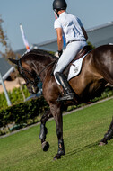 Kronenberg - De Peelbergen (August 2020)