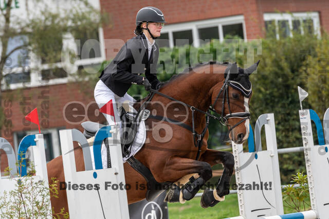 Goldene Schärpe 2020 - Pferde