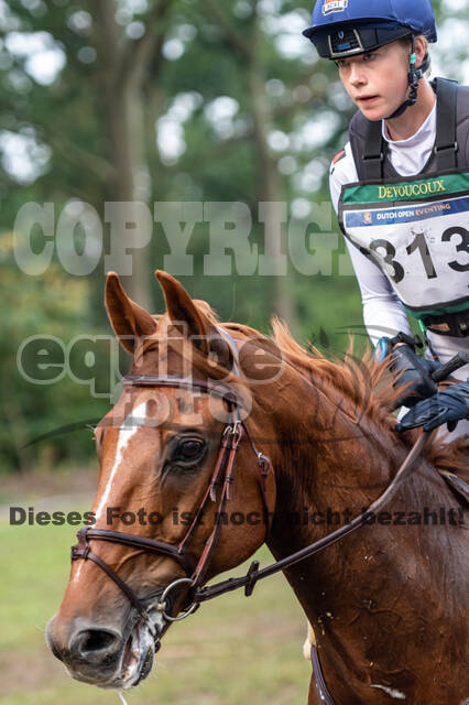 De Peelbergen (August 2020)