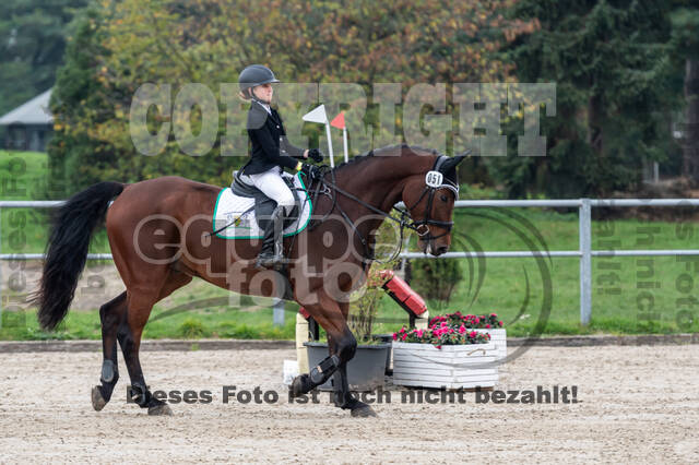 Goldene Schärpe 2020 - Pferde