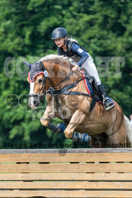 Goldene Schärpe 2021 - Ponys