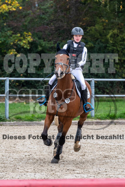 Goldene Schärpe 2020 - Pferde