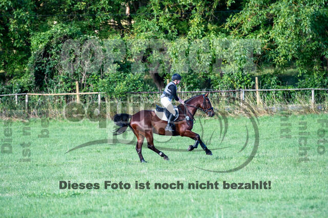 Bonn-Rodderberg Late-Entry-Vielseitigkeit (30.06.2020)