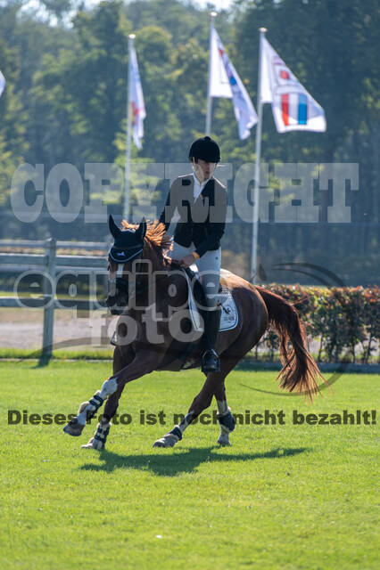 De Peelbergen (August 2020)
