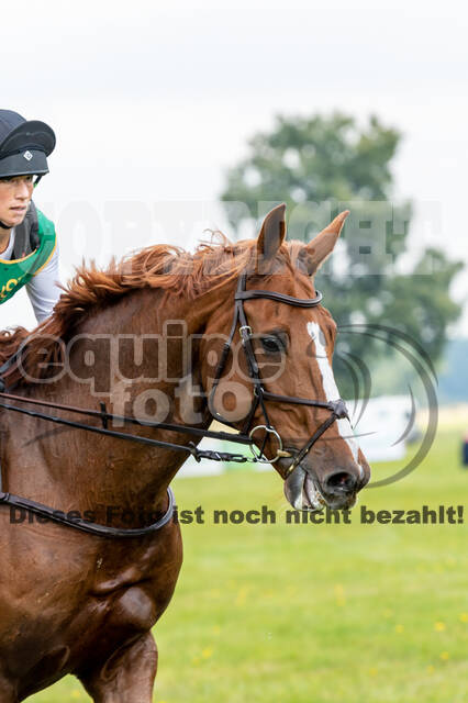 Deutsche Meisterschaft Vielseitigkeit (Luhmühlen)