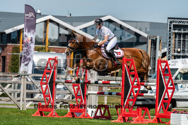 Kronenberg - De Peelbergen (August 2020)