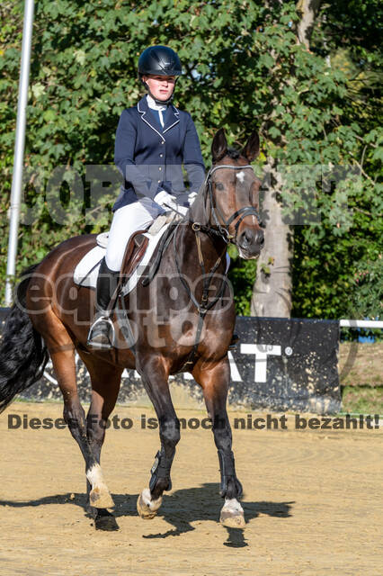 RFV Dinslaken-Hiesfeld (Herbstturnier)