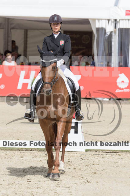 FEI European Championship Eventing 2017