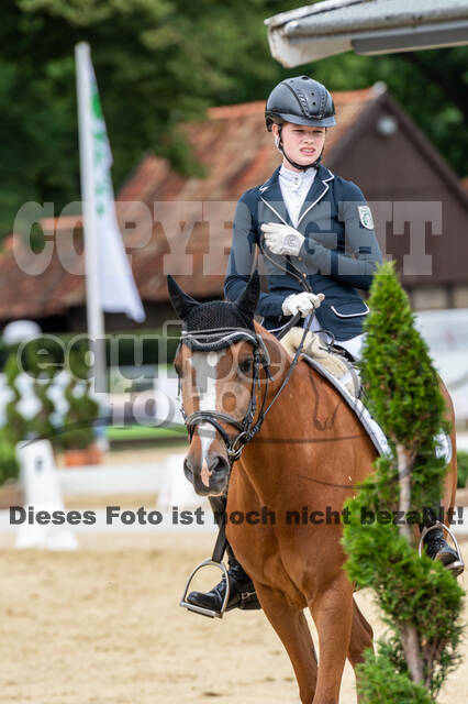 Goldene Schärpe 2021 - Ponys