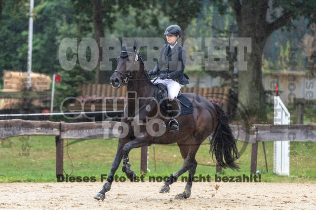 Vielseitigkeit RSV Wesel Obrighoven (26.+27.09.2020)