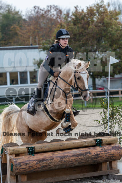 IGV Lehrgang der Sieger der Cups mit Frank Ostholt